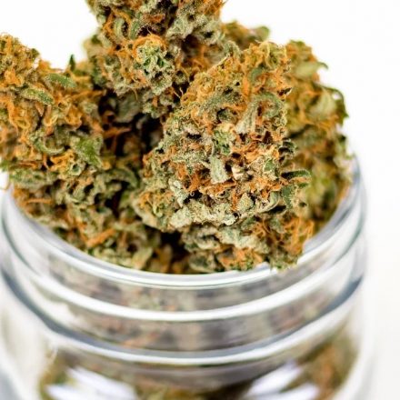 5 Key Things to Know When Shopping for Weed Products