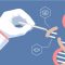 What Role Might CRISPR Gene Editing Play in Future Healthcare?